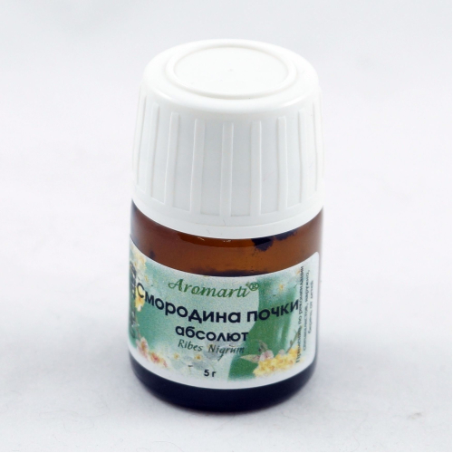 Смородина почки абсолют (5г)